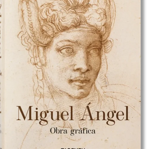 MichelangeloThe Graphic