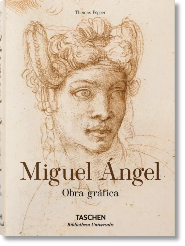 MichelangeloThe Graphic